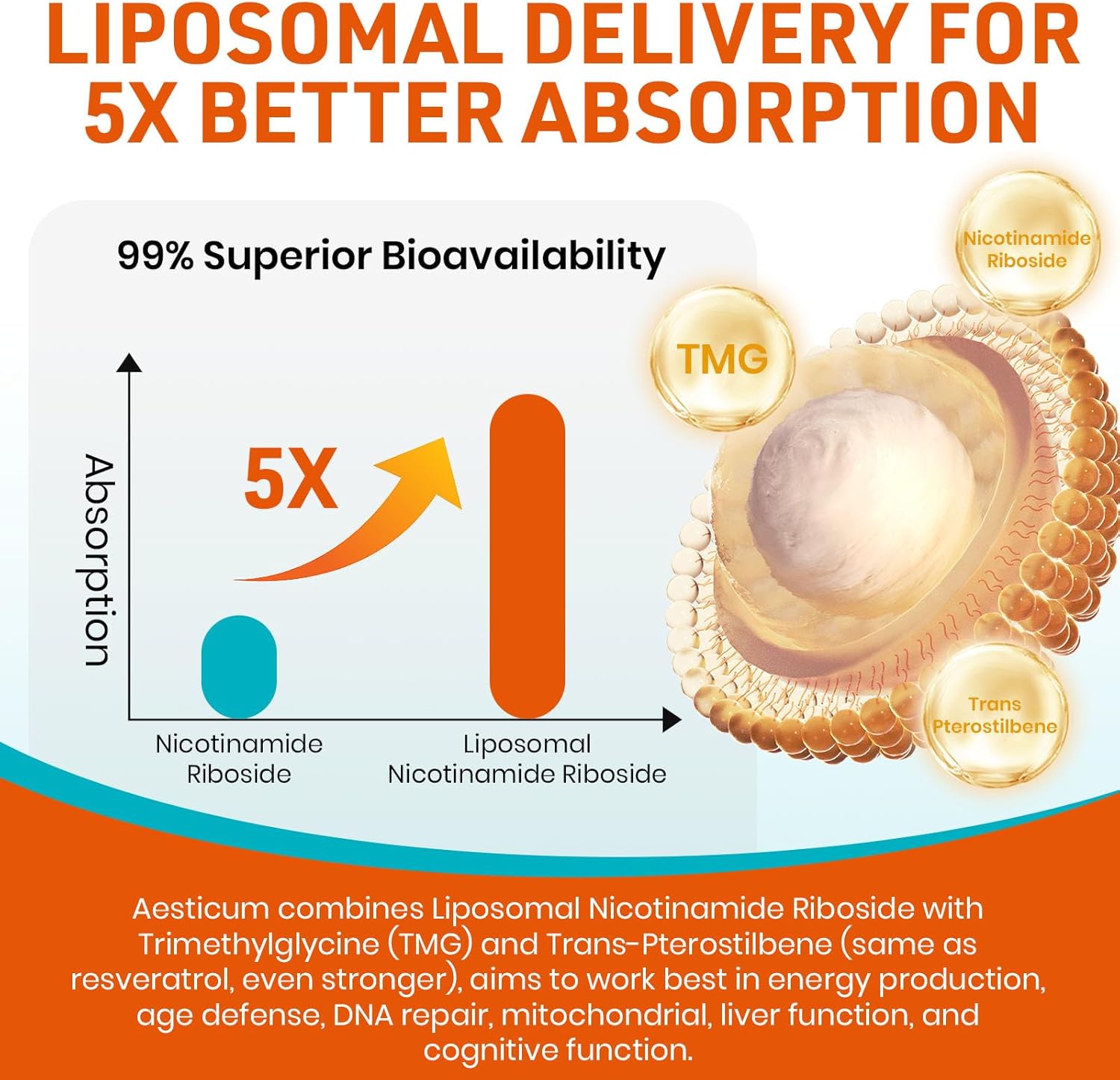 High Bioavailability NAD+ Boosting Supplement with TMG & Pterostilbene - 60 Softgels