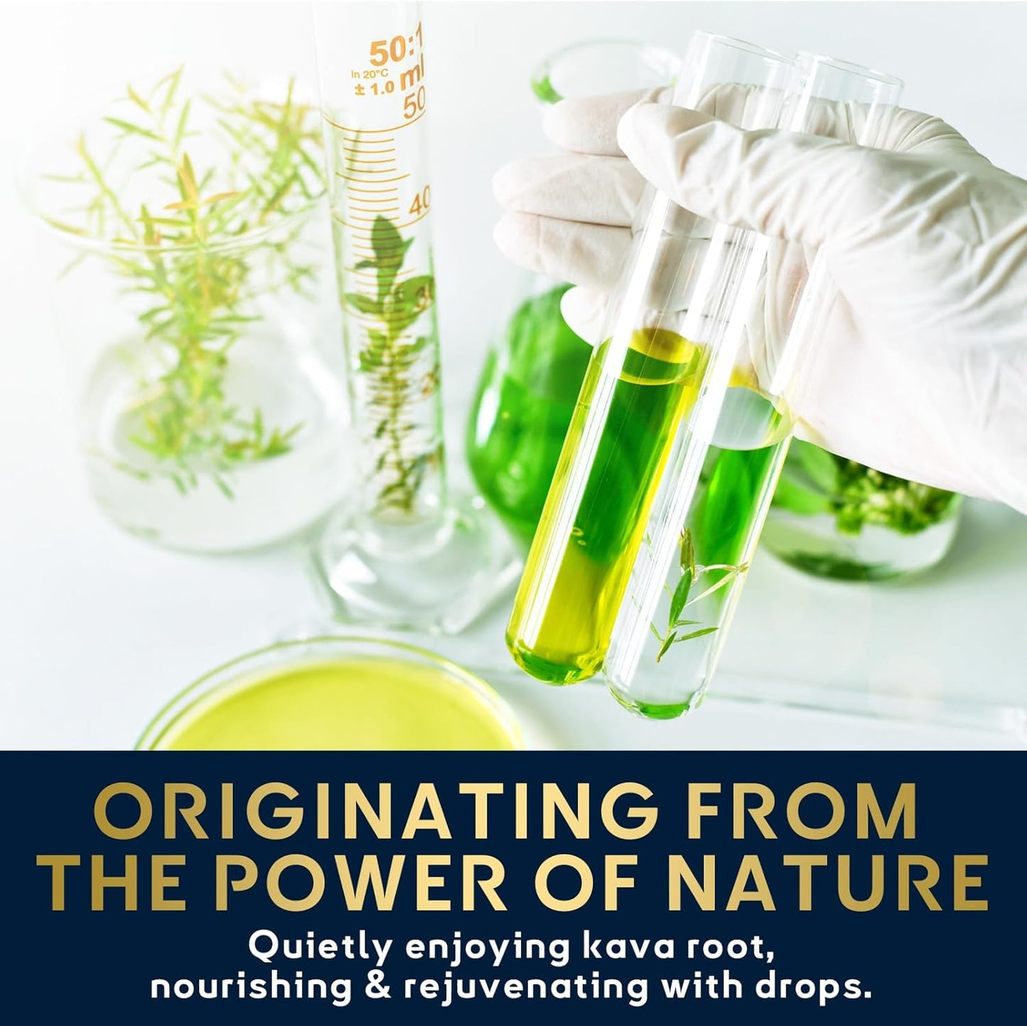 High Concentration Kava Root Extract Drops for Relaxation, Cognitive Support, and Immune System - 60 ml