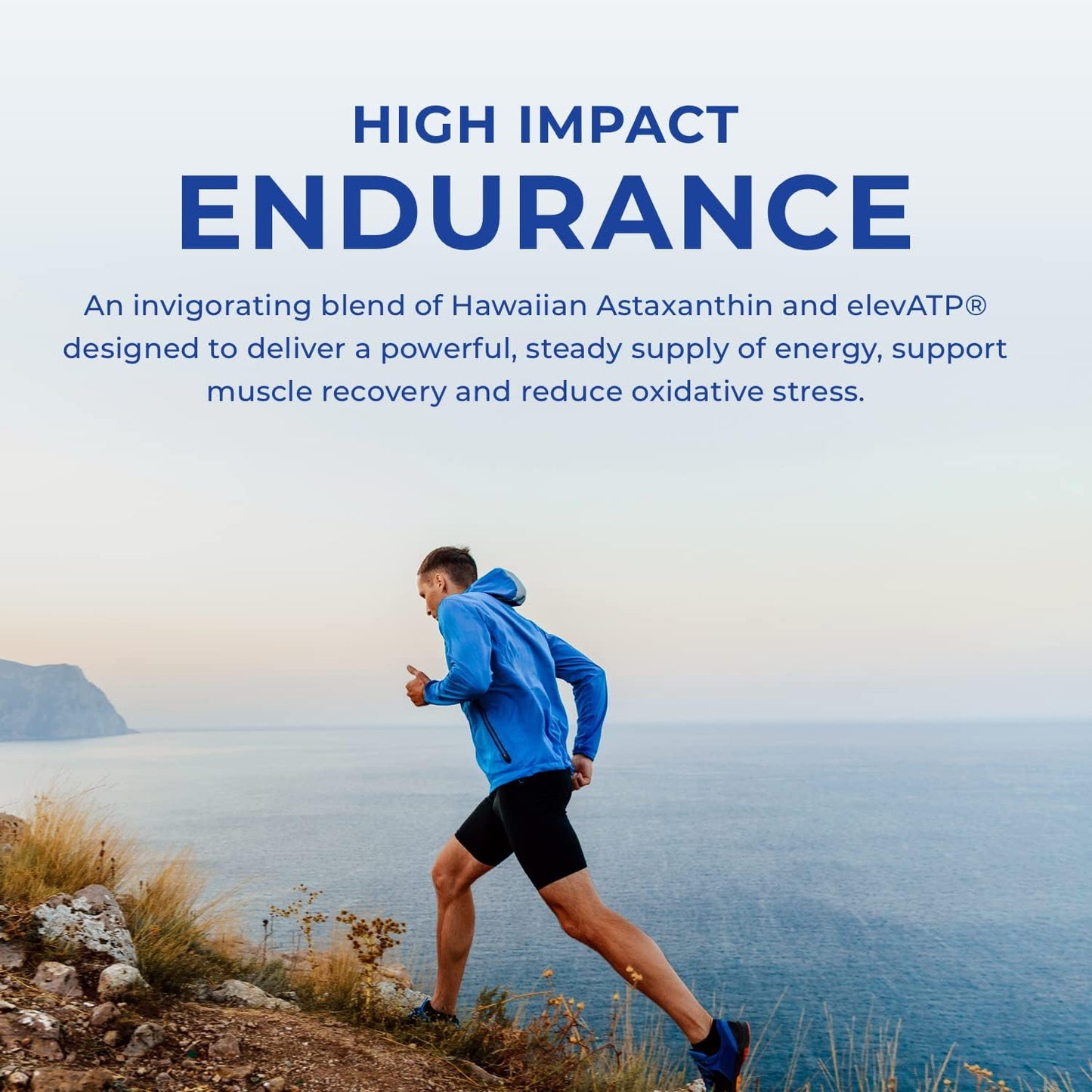 High Impact Grass Fed Whey Protein by POWERLIFE Tony Horton - Vanilla Flavor with HMB - Non-GMO Formula with No Added Sugar for High Impact Endurance and Performance