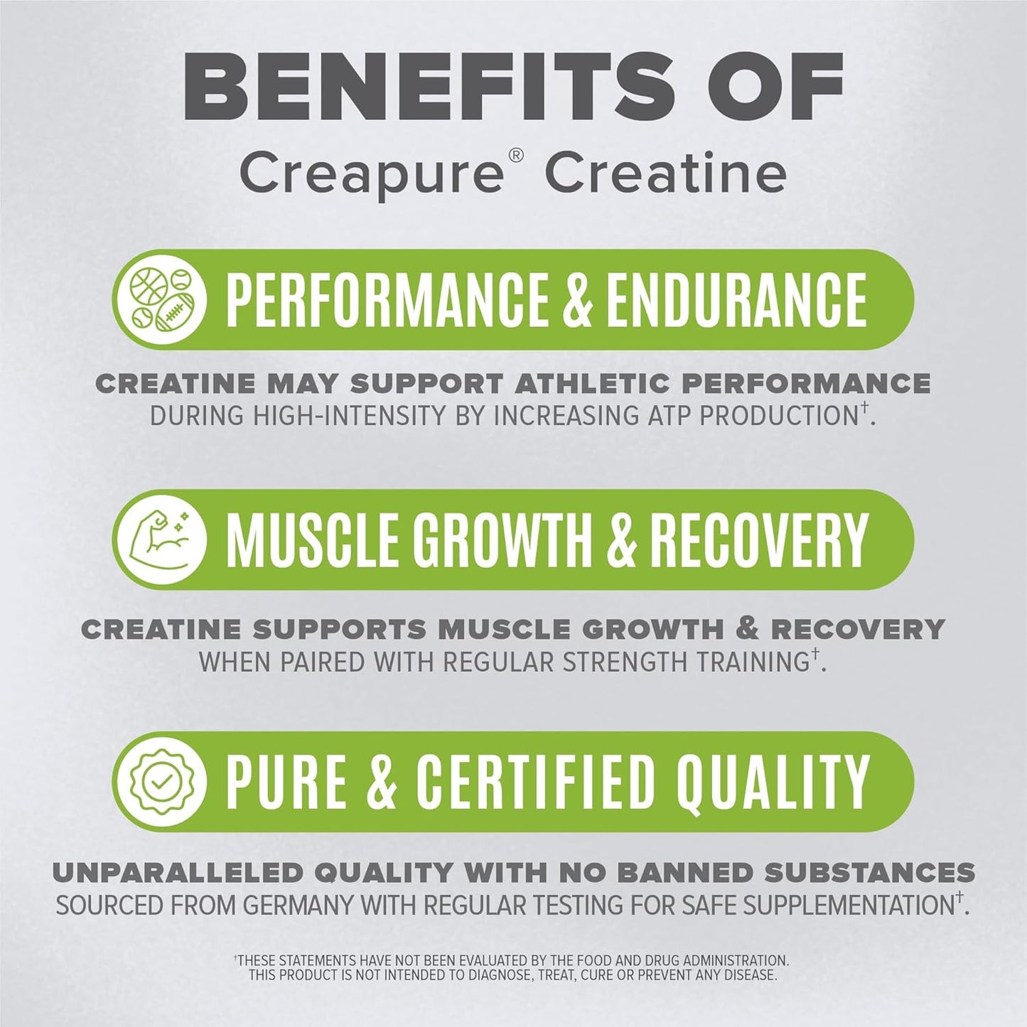 High-Performance BIRDMAN Creatine Monohydrate Powder for Pre-Workout - 600g Unflavored, High Purity