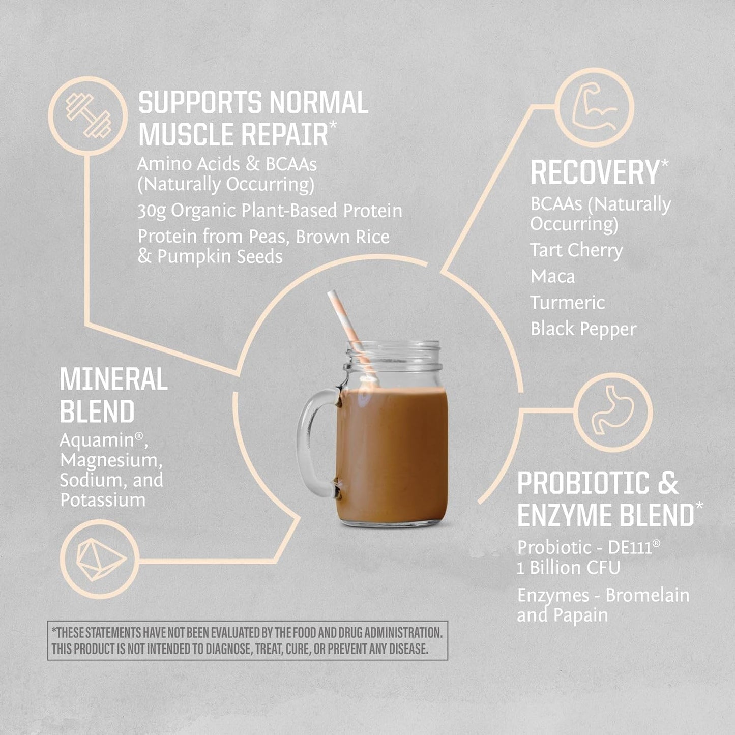 High Performance Vegan Protein Powder with Sugar-Free Active Creatine Monohydrate