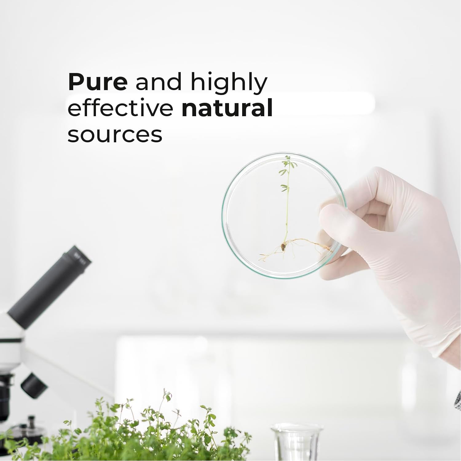 High Potency 5-HTP 200mg Capsules - Mood Enhancer and Neurotransmitter Support - Made in USA