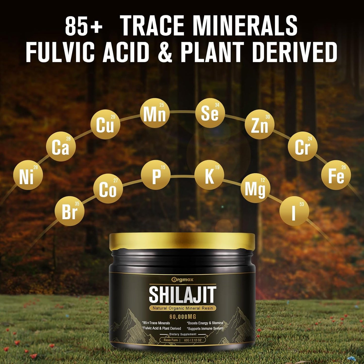 High Potency 600mg Pure Natural Shilajit Resin Supplement for Men & Women - Himalayan Shilajit with 85+ Trace Minerals & Fulvic Acid - Energy, Metabolism & Immune Support - Non-GMO - 60g
