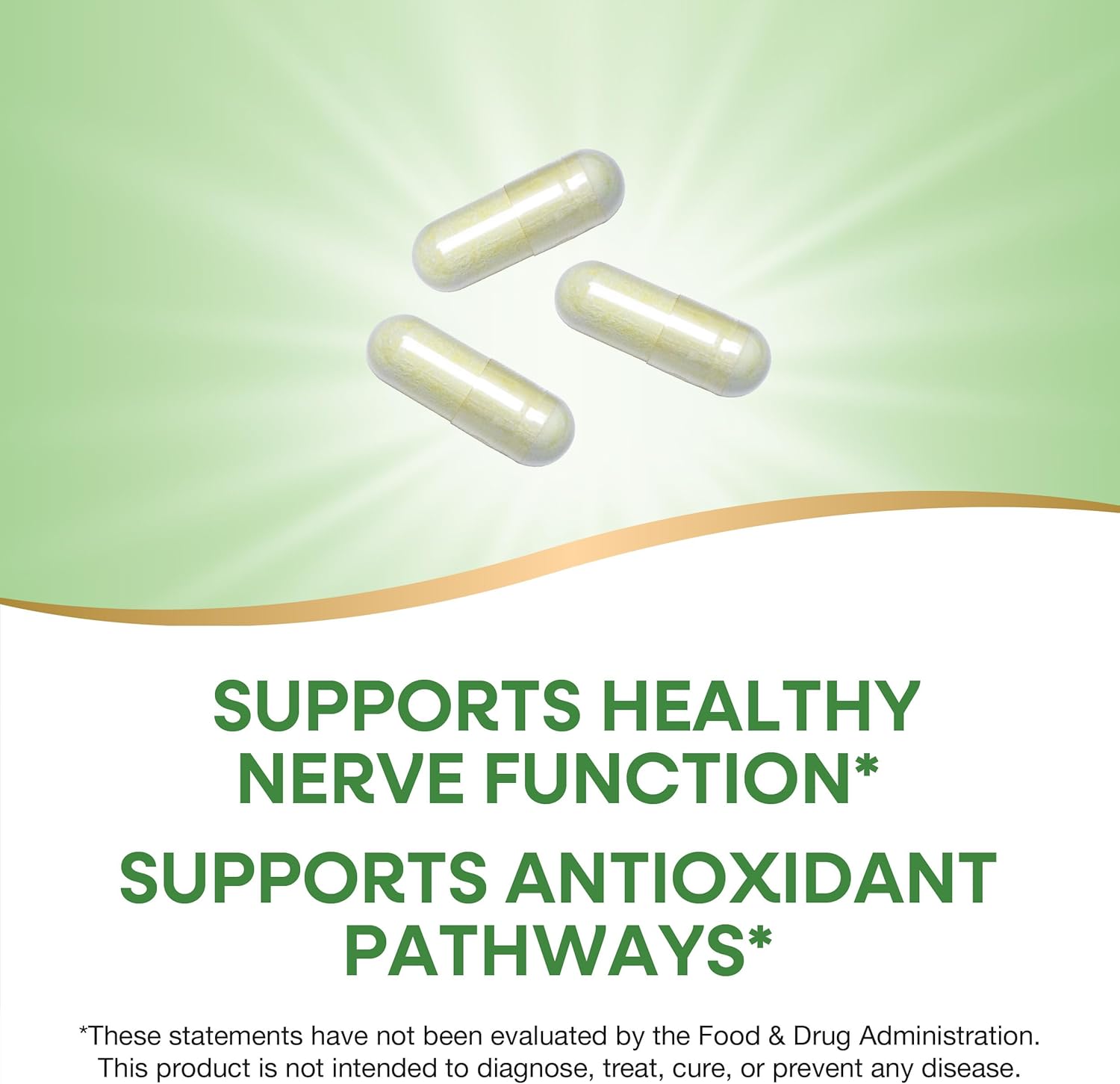 High Potency Alpha Lipoic Acid Capsules - 600mg, 60 Servings - Promotes Healthy Nerve Function - Natural Supplement by Nature's Way