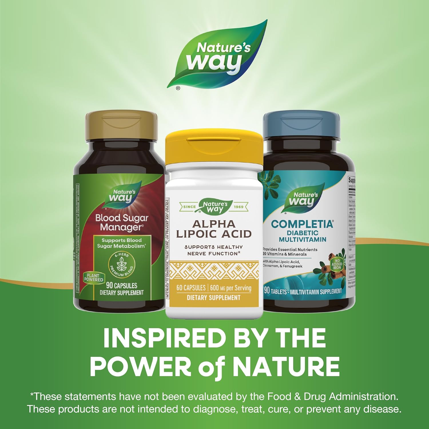 High Potency Alpha Lipoic Acid Capsules - 600mg, 60 Servings - Promotes Healthy Nerve Function - Natural Supplement by Nature's Way