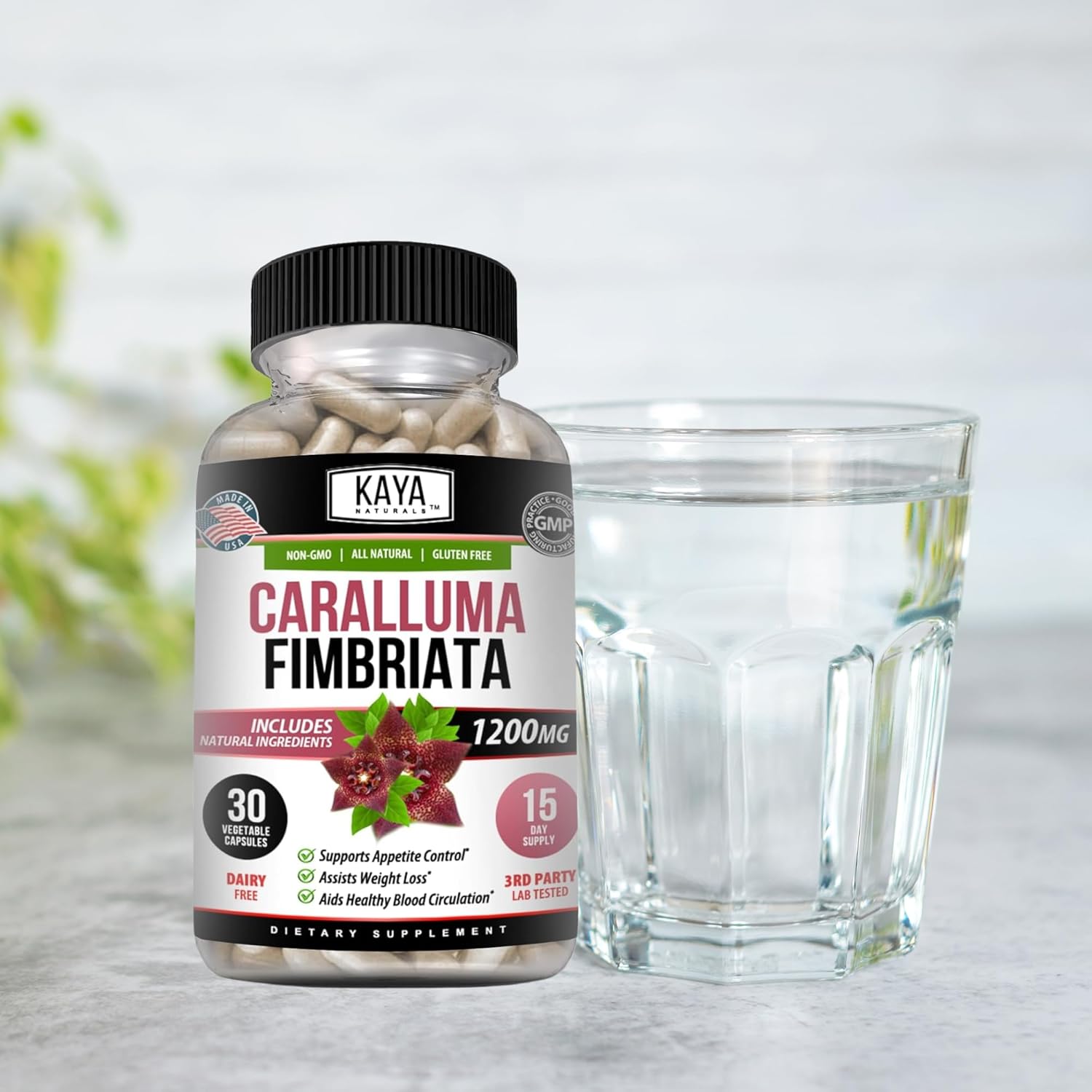 High Potency Caralluma Fimbriata 1200mg Supplement for Endurance Support - 30 Vegetarian Capsules by Kaya Naturals