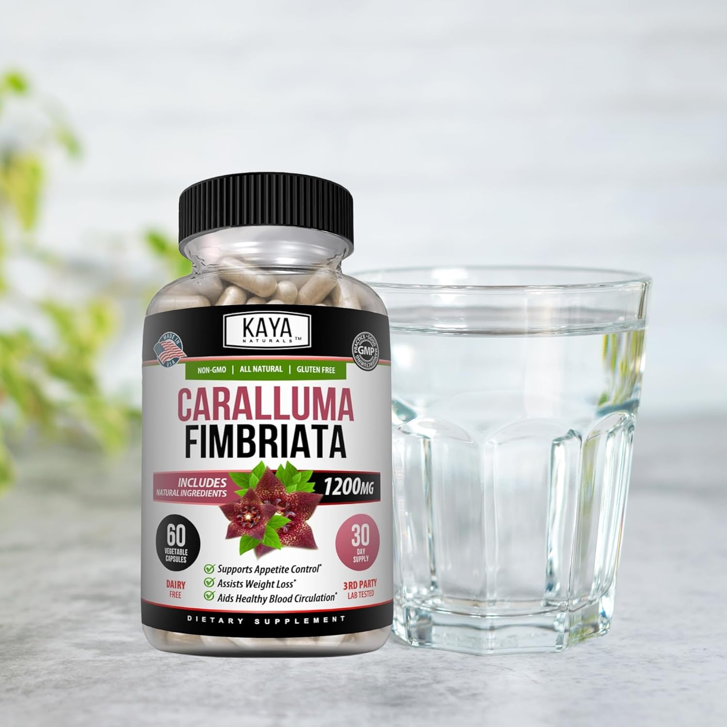 High Potency Caralluma Fimbriata 1200mg Supplement for Natural Endurance Support - 60 Vegetarian Capsules by Kaya Naturals