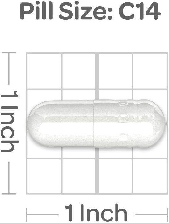 High-Potency Coral Calcium Supplement for Bone Health, Heart & Muscle Support - 1500mg, 120 Capsules