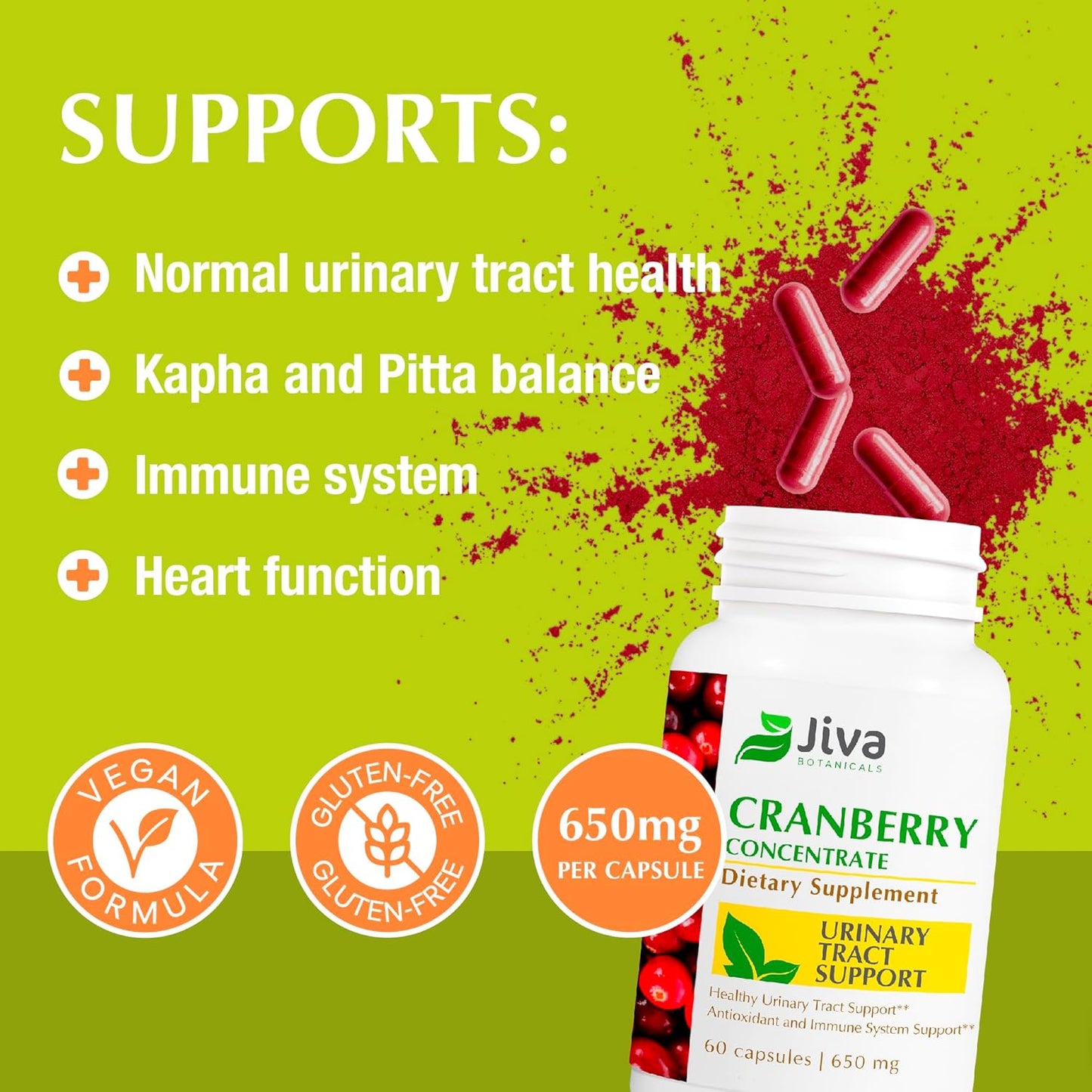 High Potency Cranberry Supplement for Women - 650 mg Concentrated Cranberry Extract Pills for Urinary Tract Health - 60 Capsules by Jiva Botanicals