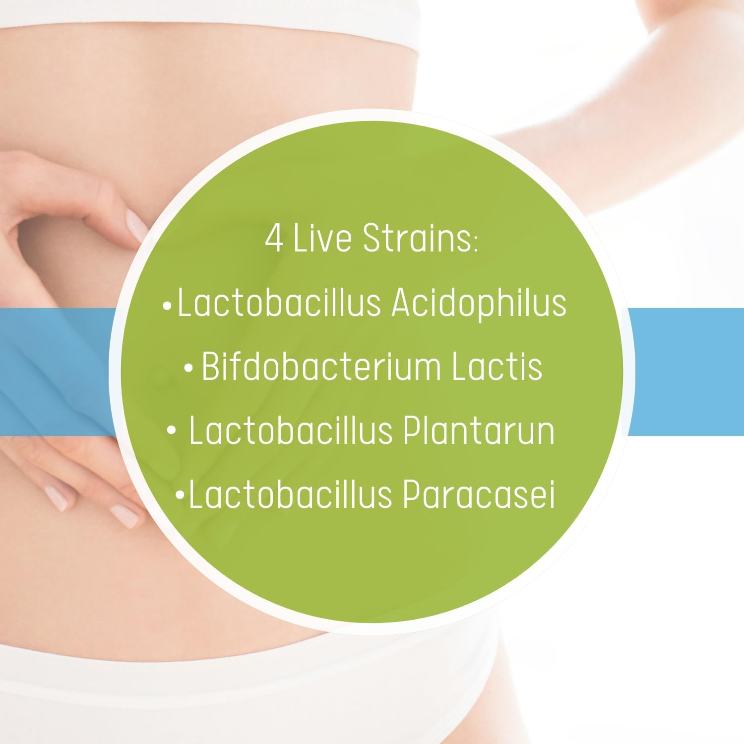 High-Potency Daily Probiotic with 40 Billion CFU for Digestion & Immune Support - 60 Veggie Capsules