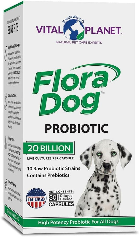 High Potency Flora Dog Probiotic Capsules with 20 Billion Cultures & 10 Strains - Immune & Digestive Support, 30 Delayed Release Capsules