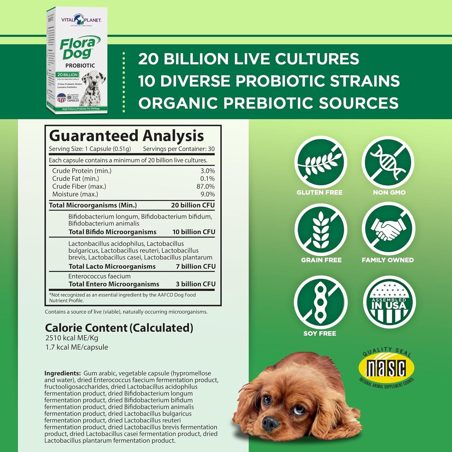 High Potency Flora Dog Probiotic Capsules with 20 Billion Cultures & 10 Strains - Immune & Digestive Support, 30 Delayed Release Capsules