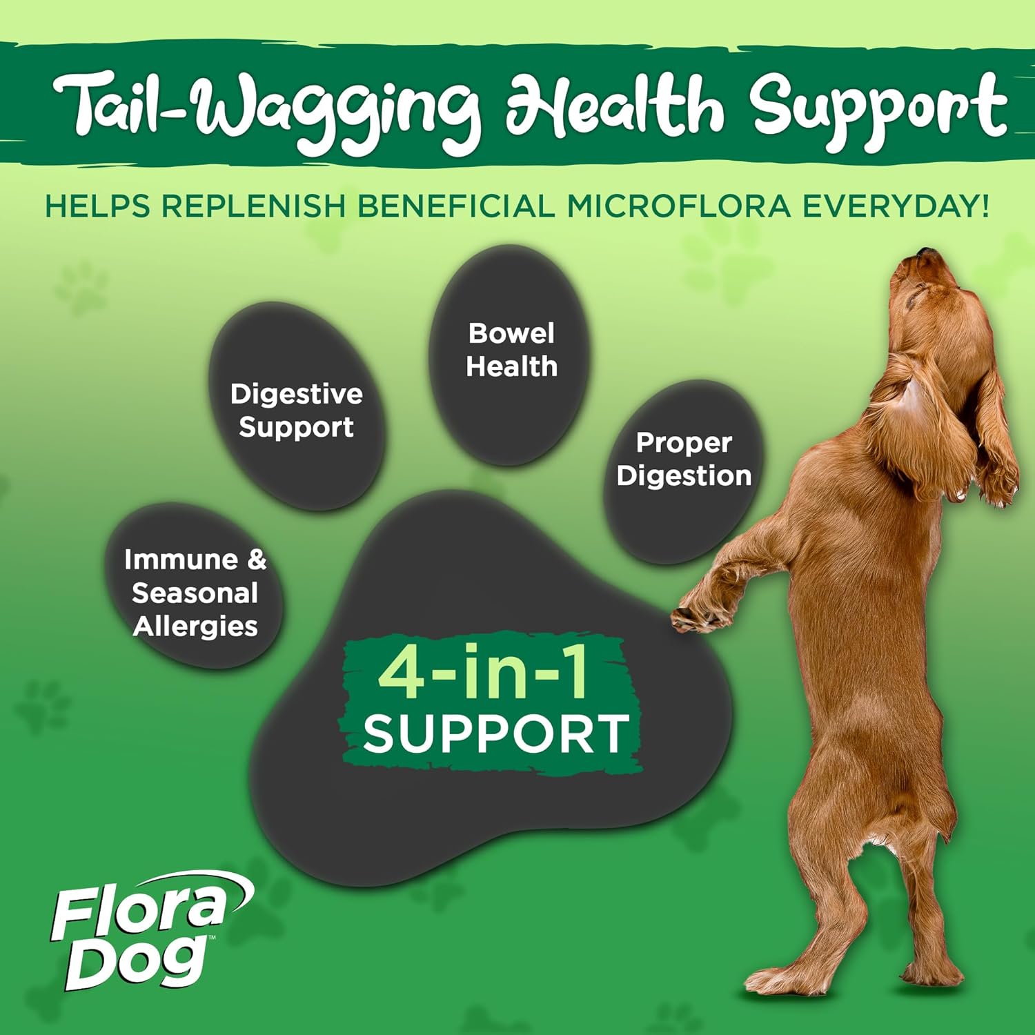 High Potency Flora Dog Probiotic Capsules with 20 Billion Cultures & 10 Strains - Immune & Digestive Support, 30 Delayed Release Capsules