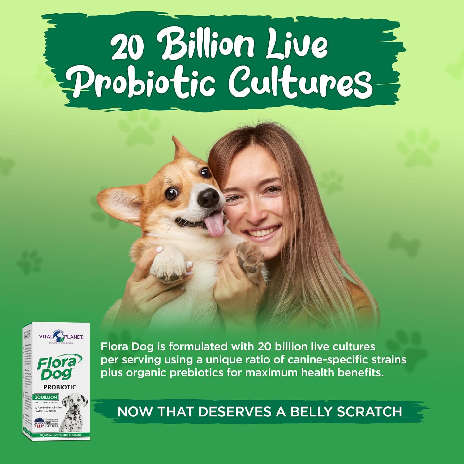 High Potency Flora Dog Probiotic Capsules with 20 Billion Cultures & 10 Strains - Immune & Digestive Support, 30 Delayed Release Capsules