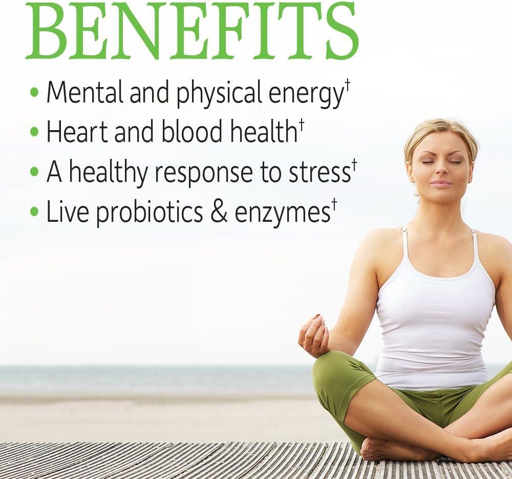 High Potency Garden of Life Raw B Complex - 60 Vegan Capsules with B Vitamins for Energy & Metabolism - Includes B2 Riboflavin, B1, B3, B6, Folate, B12, Biotin, Probiotics