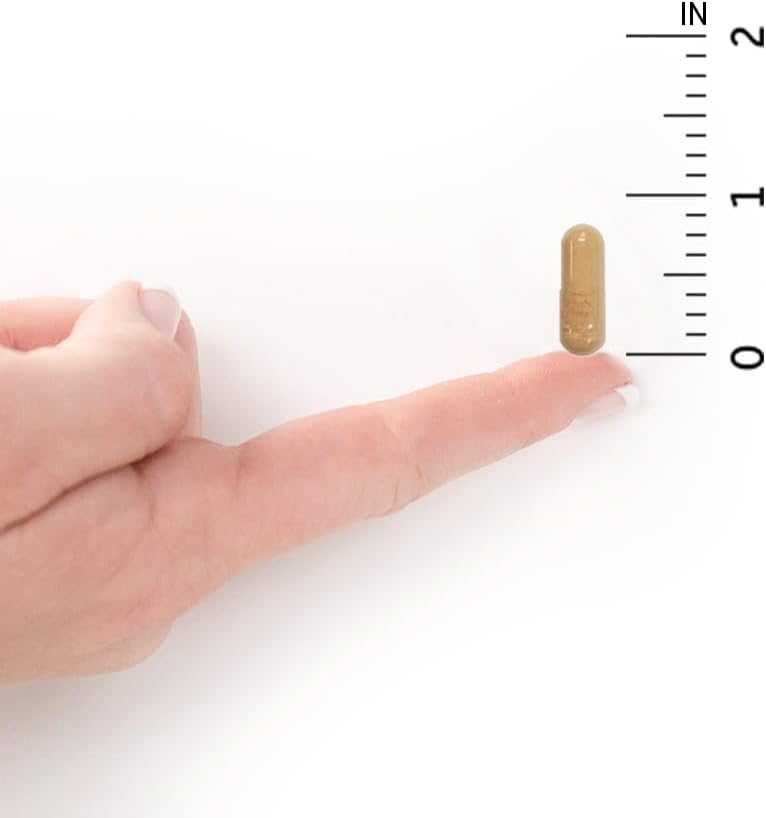 High Potency Garden of Life Raw B Complex - 60 Vegan Capsules with B Vitamins for Energy & Metabolism - Includes B2 Riboflavin, B1, B3, B6, Folate, B12, Biotin, Probiotics