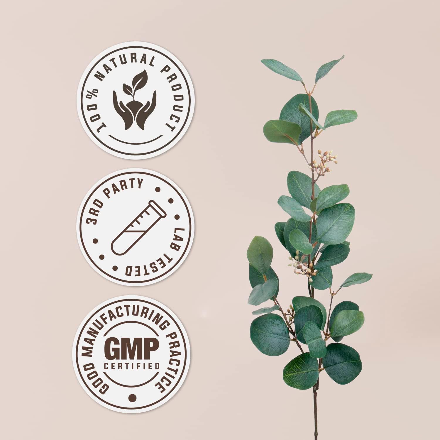 High-Potency Garden Organics Thyme Capsules - Herbal Dietary Supplement with Thyme Dried Leaf - 120 Vegetarian Capsules