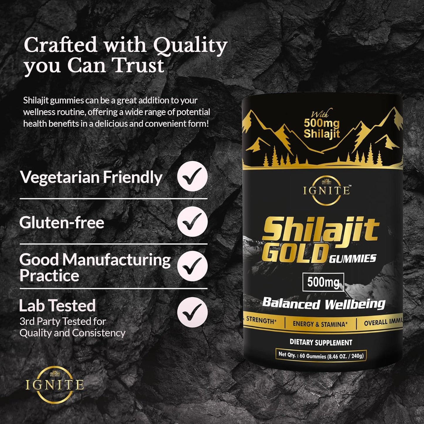 High Potency Gold Grade Himalayan Shilajit Gummies with 100% Pure Shilajit & 75%+ Fulvic Acid for Energy Boost & Immune Support - 60 Travel-Friendly Tamarind Flavor Gummies
