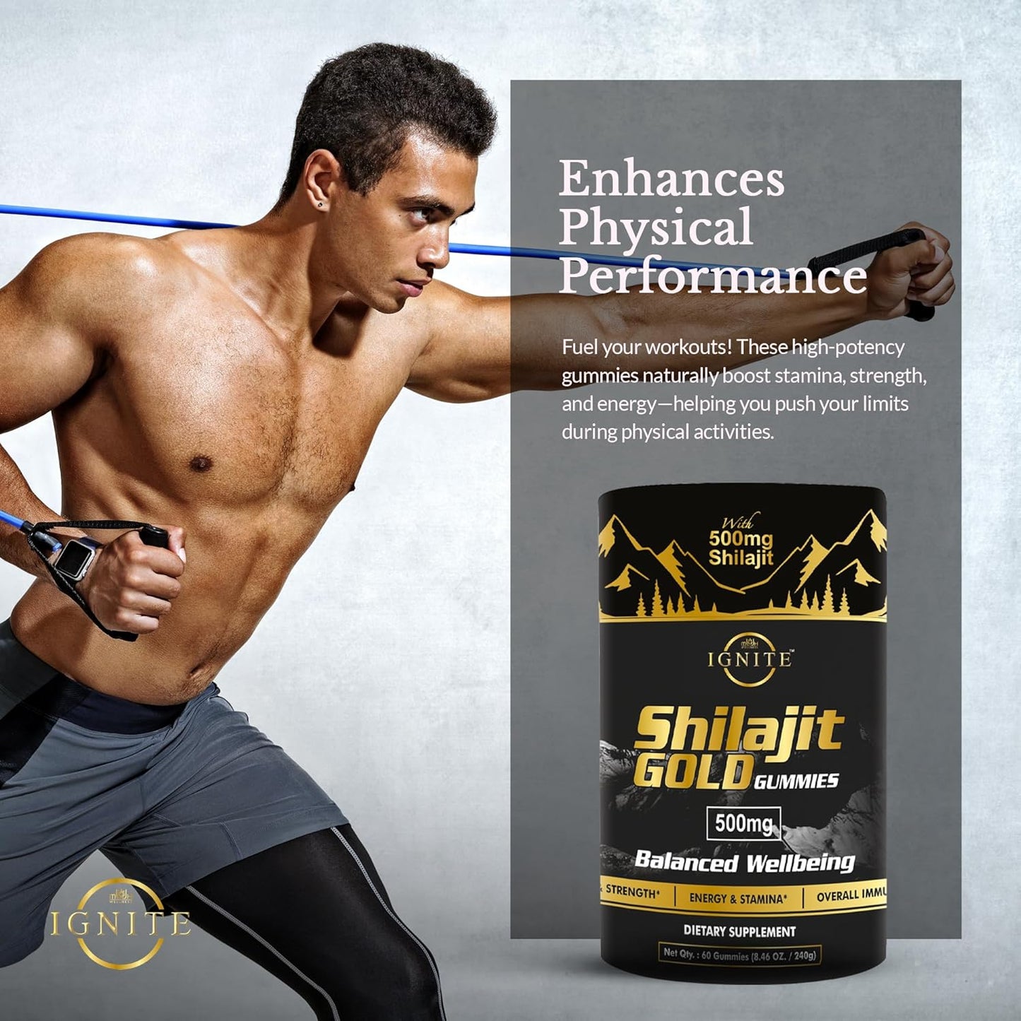 High Potency Gold Grade Himalayan Shilajit Gummies with 100% Pure Shilajit & 75%+ Fulvic Acid for Energy Boost & Immune Support - 60 Travel-Friendly Tamarind Flavor Gummies