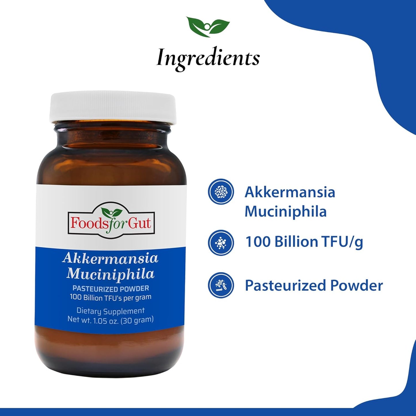 High Potency Gut Akkermansia Muciniphila Pasteurized Powder - 30g (1.05 oz) - 100 Billion TFU/g - Digestive & Immune Support