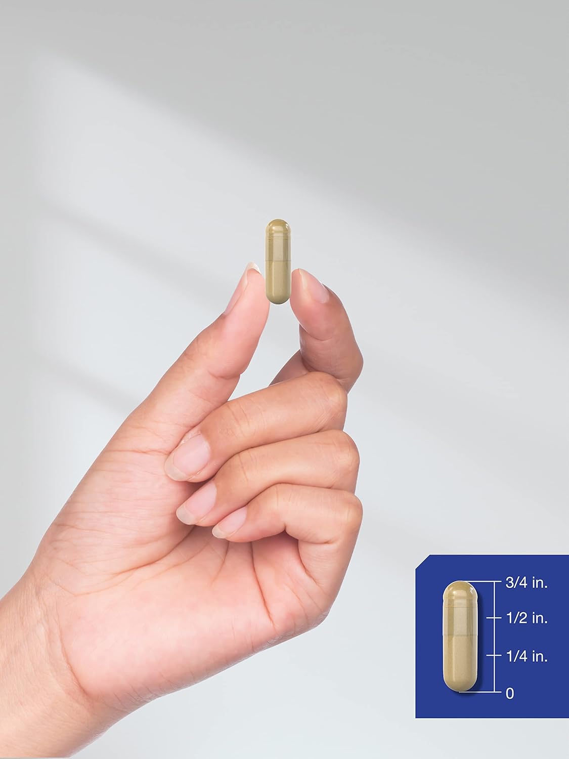 High Potency Huperzine A 400mcg Capsules - 180 Count | Non-GMO & Gluten Free Formula