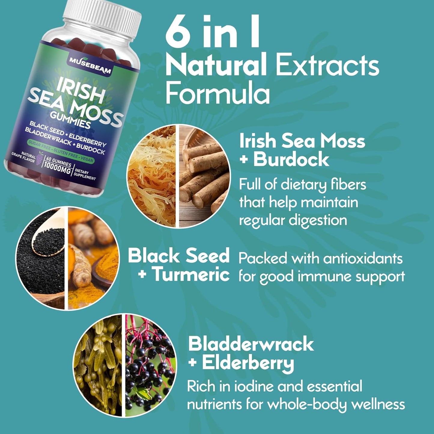 High-Potency Irish Sea Moss Gummies with Elderberry, Black Seed, and Omega-3 - Vegan Seamoss Supplements for Men and Women, Sugar-Free