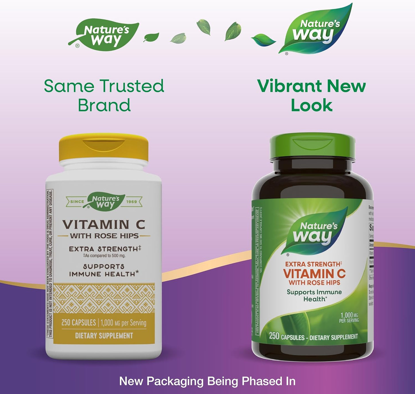 High Potency Nature's Way Vitamin C with Rose Hips; 1000mg per Serving; 250 Capsules for Immune Support
