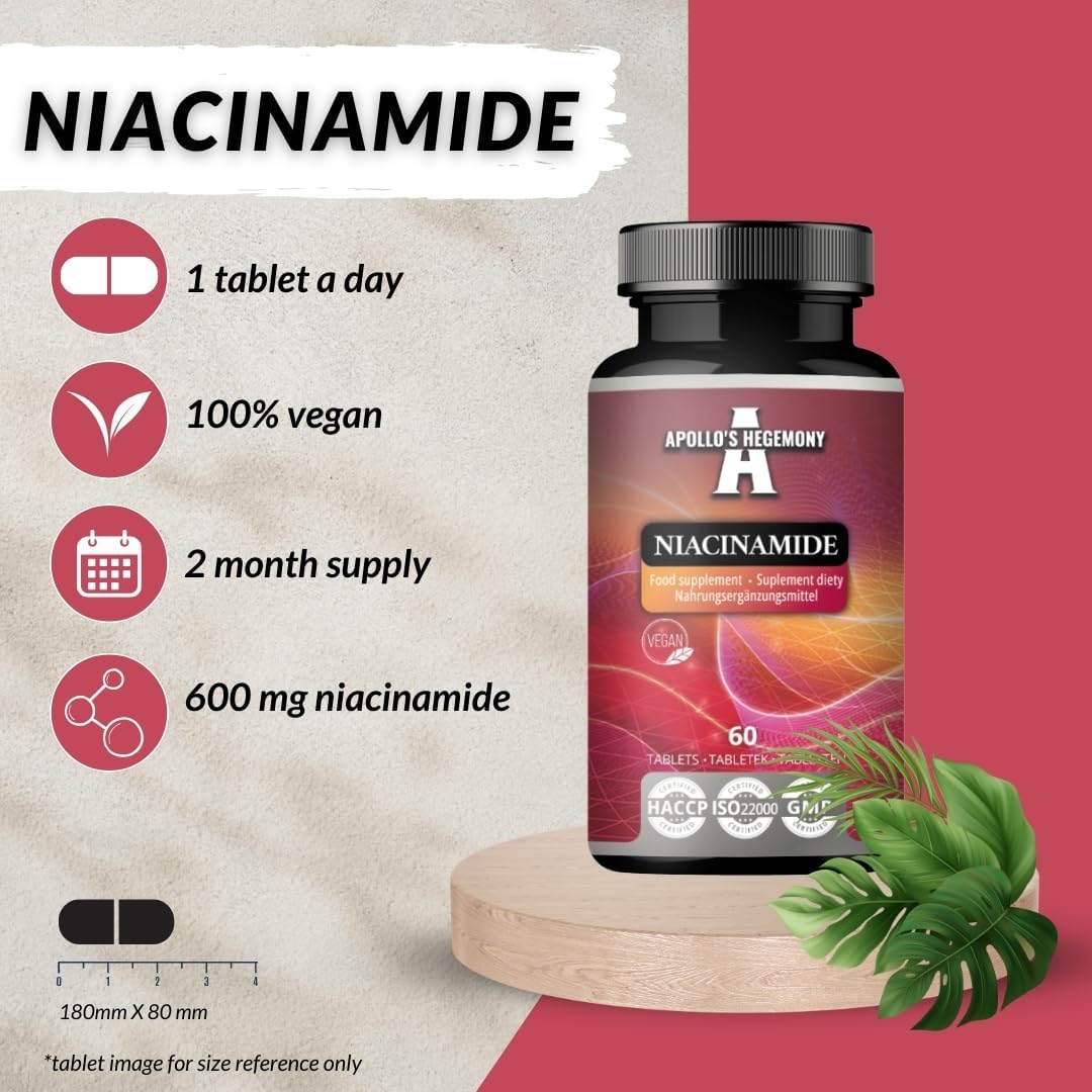 High Potency Niacinamide 500mg Tablets - 60 Count - Vegan Supplement for Energy & Nerve Health - 2 Month Supply by Apollo's Hegemony