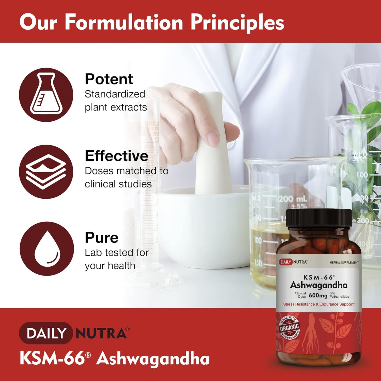 High Potency Organic KSM-66 Ashwagandha 600mg Root Extract Capsules - 5% Withanolides for Relaxation, Focus, Energy - 90 Count
