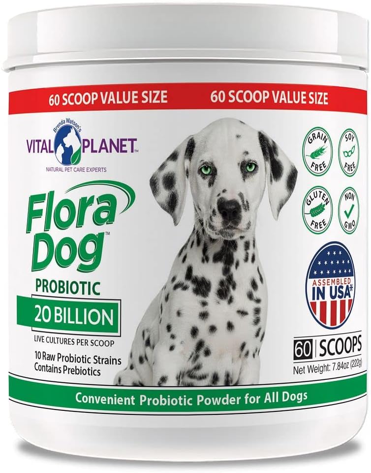 High Potency Probiotic Powder Supplement for Dogs - 20 Billion Cultures, 10 Strains, Immune & Digestive Support - 7.84 oz, 222g