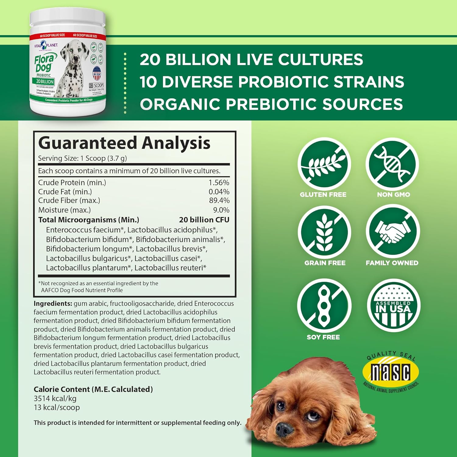 High Potency Probiotic Powder Supplement for Dogs - 20 Billion Cultures, 10 Strains, Immune & Digestive Support - 7.84 oz, 222g