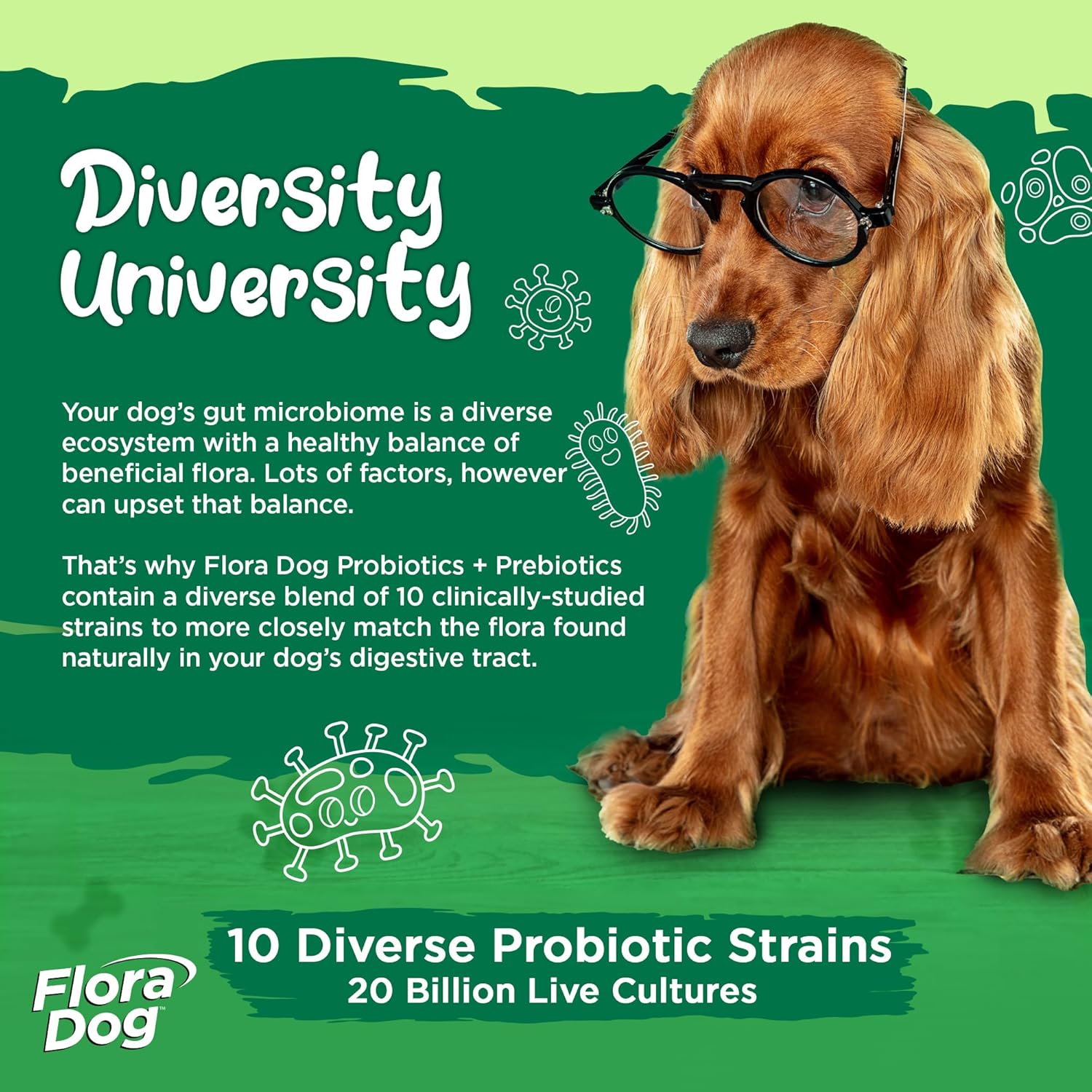 High Potency Probiotic Powder Supplement for Dogs - 20 Billion Cultures, 10 Strains, Immune & Digestive Support - 7.84 oz, 222g