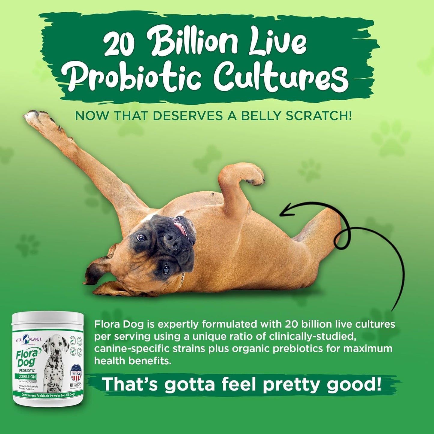 High Potency Probiotic Powder Supplement for Dogs - 20 Billion Cultures, 10 Strains - Immune & Digestive Support - 3.92 oz, 111g