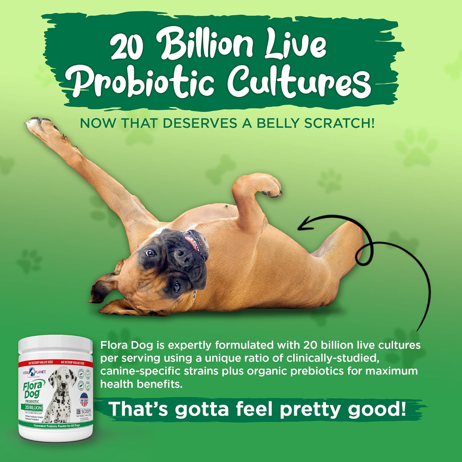 High Potency Probiotic Powder Supplement for Dogs - 20 Billion Cultures, 10 Strains, Immune & Digestive Support - 7.84 oz, 222g