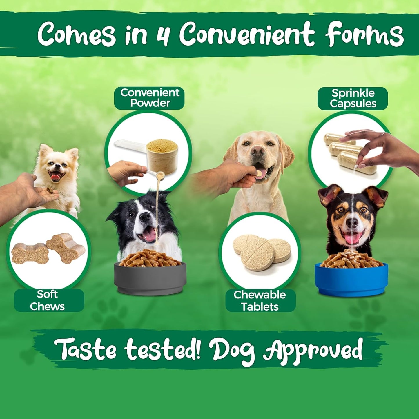 High Potency Probiotic Powder Supplement for Dogs - 20 Billion Cultures, 10 Strains - Immune & Digestive Support - 3.92 oz, 111g