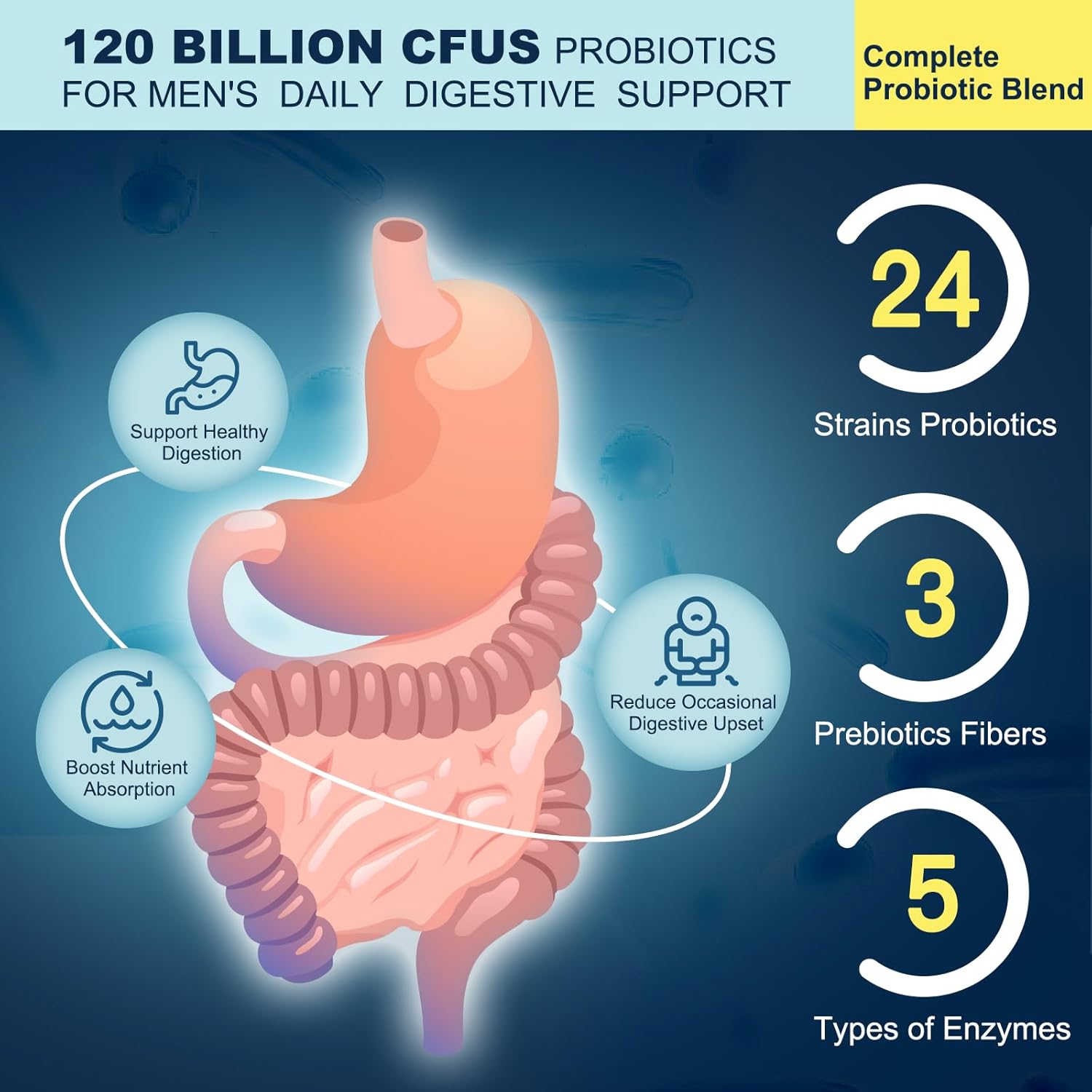 High Potency Probiotic Supplement for Digestive Health - 120 Billion CFUs for Men & Women