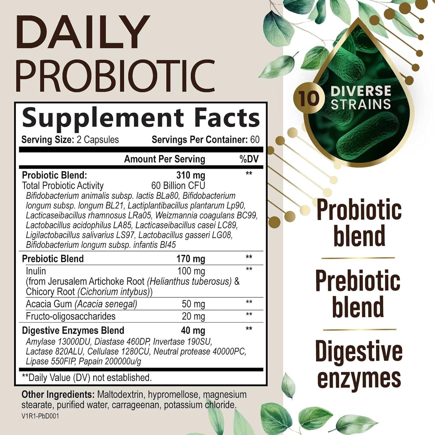High Potency Probiotic Supplement with Prebiotics for Gut Health - 60 Billion CFU Capsules for Men and Women - Digestive Enzymes, Immune Support - 120 Count