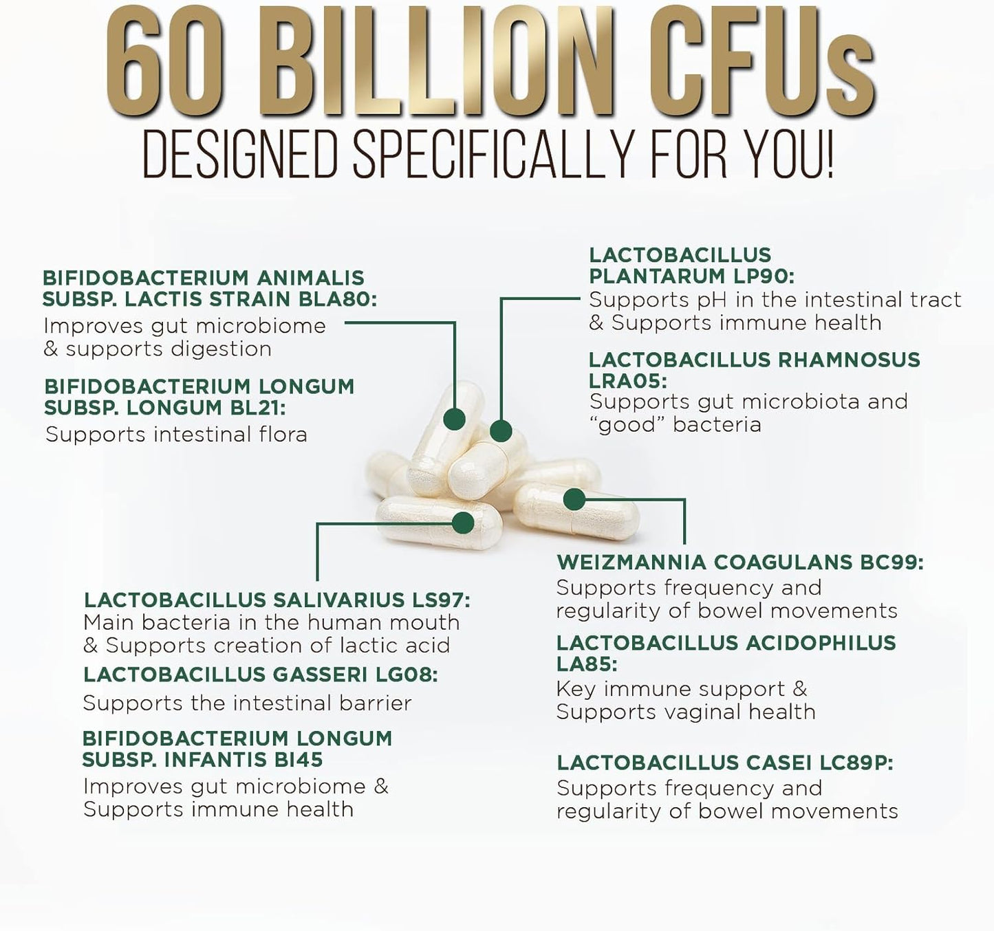 High Potency Probiotic Supplement with Prebiotics for Gut Health - 60 Billion CFU Capsules for Men and Women - Digestive Enzymes, Immune Support - 120 Count