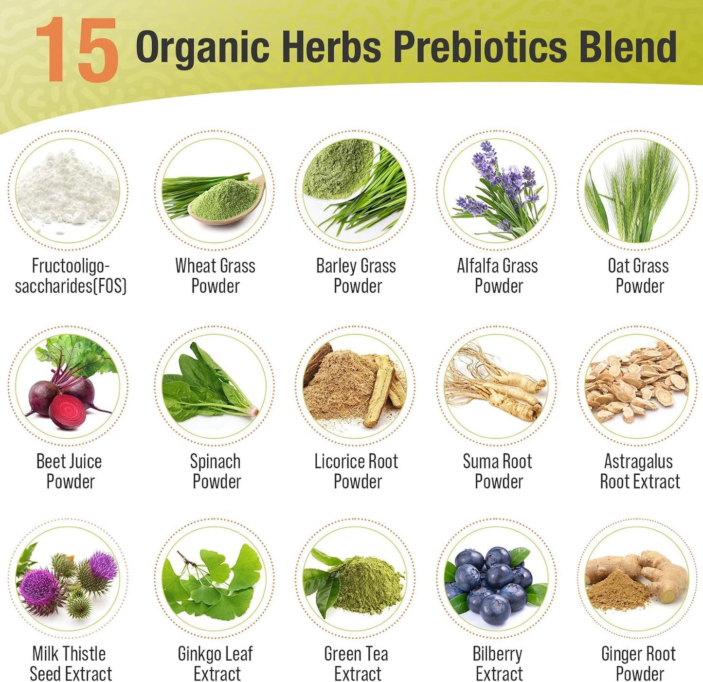 High-Potency Probiotic Supplement with Prebiotics for Digestive Health - 300 Billion CFU, 22 Strains, 15 Organic Herbs - 120 Capsules