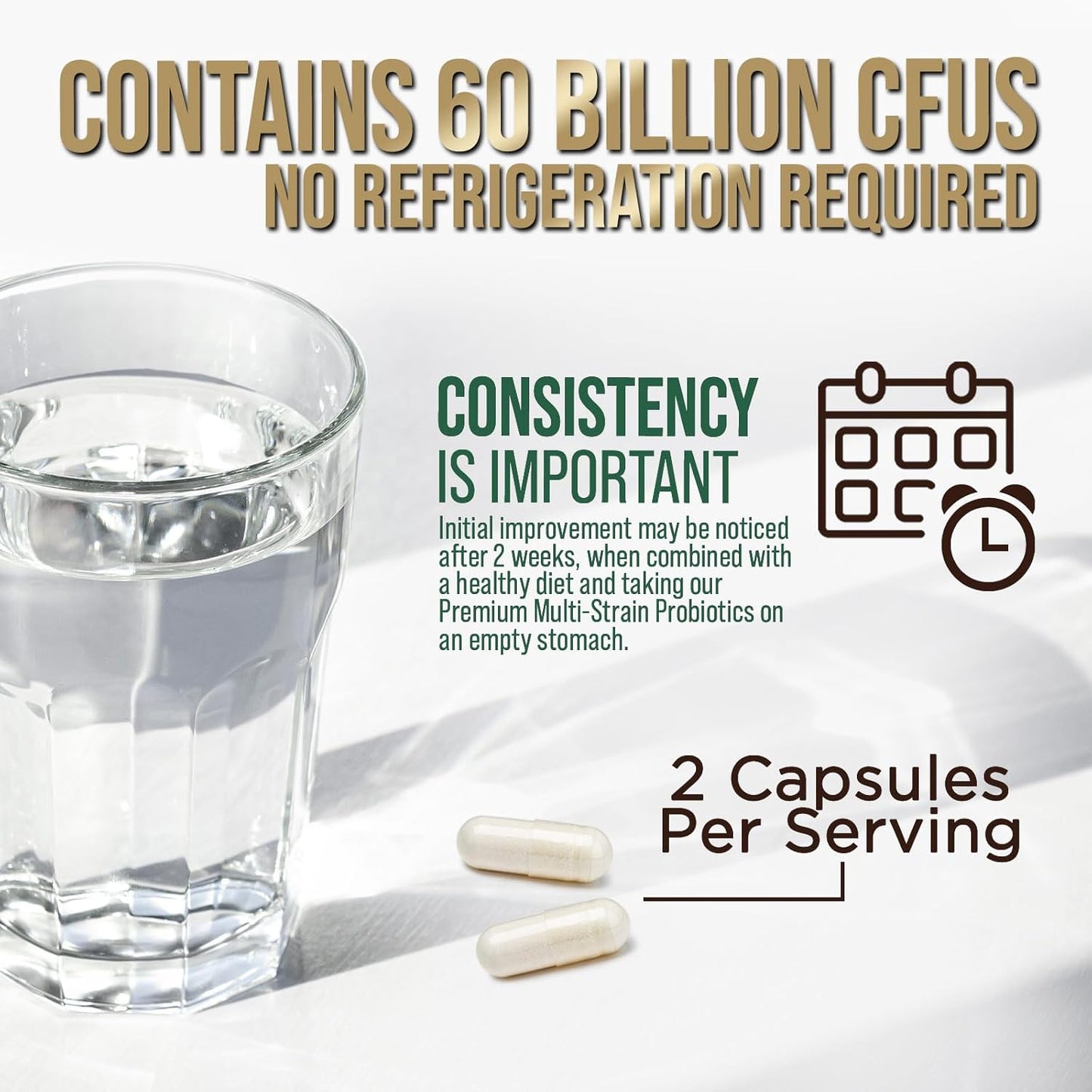 High Potency Probiotic Supplement with Prebiotics for Gut Health - 60 Billion CFU Capsules for Men and Women - Digestive Enzymes, Immune Support - 120 Count