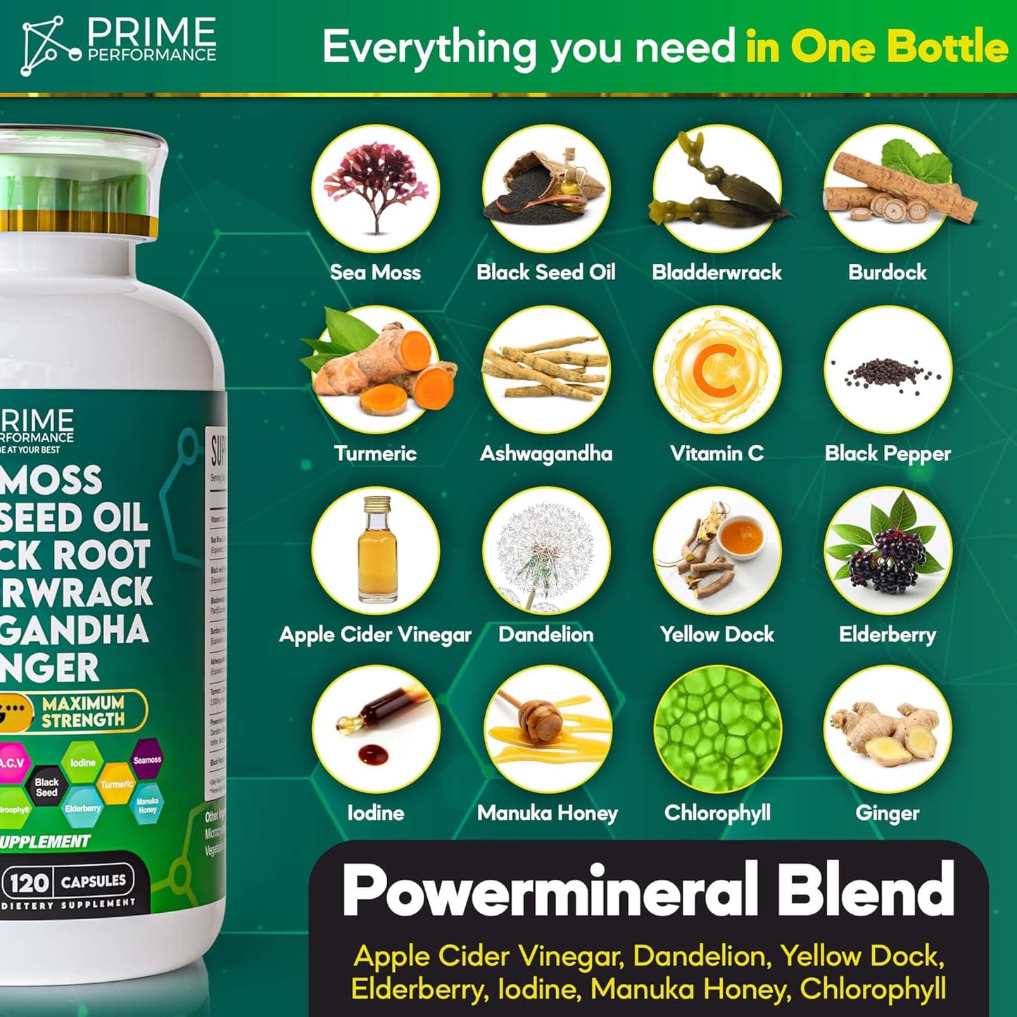 High-Potency Sea Moss, Black Seed Oil, Bladderwrack, Burdock, Ashwagandha, Turmeric, Ginger, Elderberry, Vitamin C, ACV & Chlorophyll Supplement for Prime Performance Nutrition