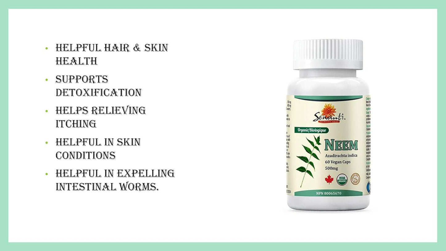 High Potency Sewanti Neem Capsules for Skin Health, Immune Support & Digestive Balance - 500mg Herbal Supplement