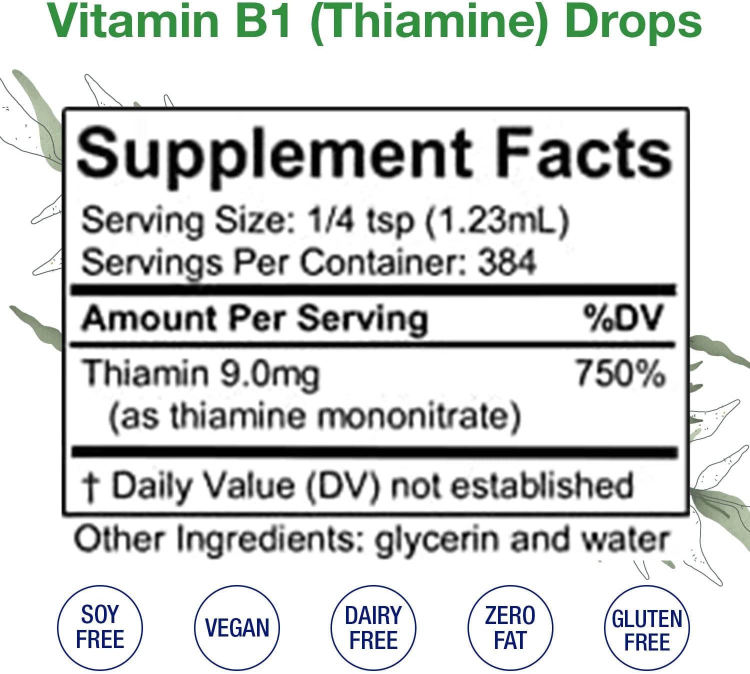 High Potency Thiamine Vitamin B1 Drops - Vegan Liquid Supplement for Nervous System & Digestive Health - Alcohol-Free (16 oz)
