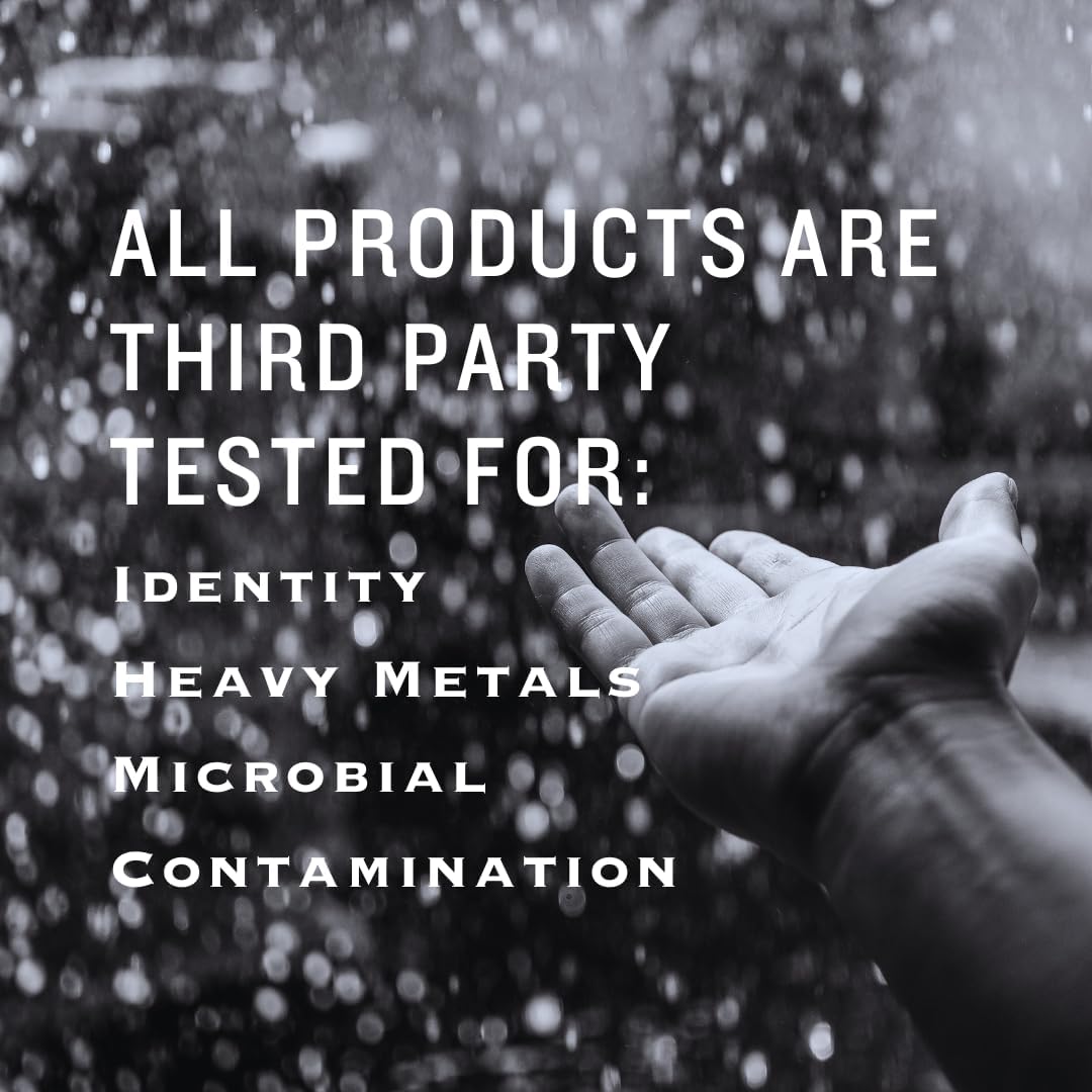 High Potency Tongkat Ali 100:1 Extract Powder Capsules for Endurance - 60 Veggie Capsules, Non-GMO & Gluten-Free