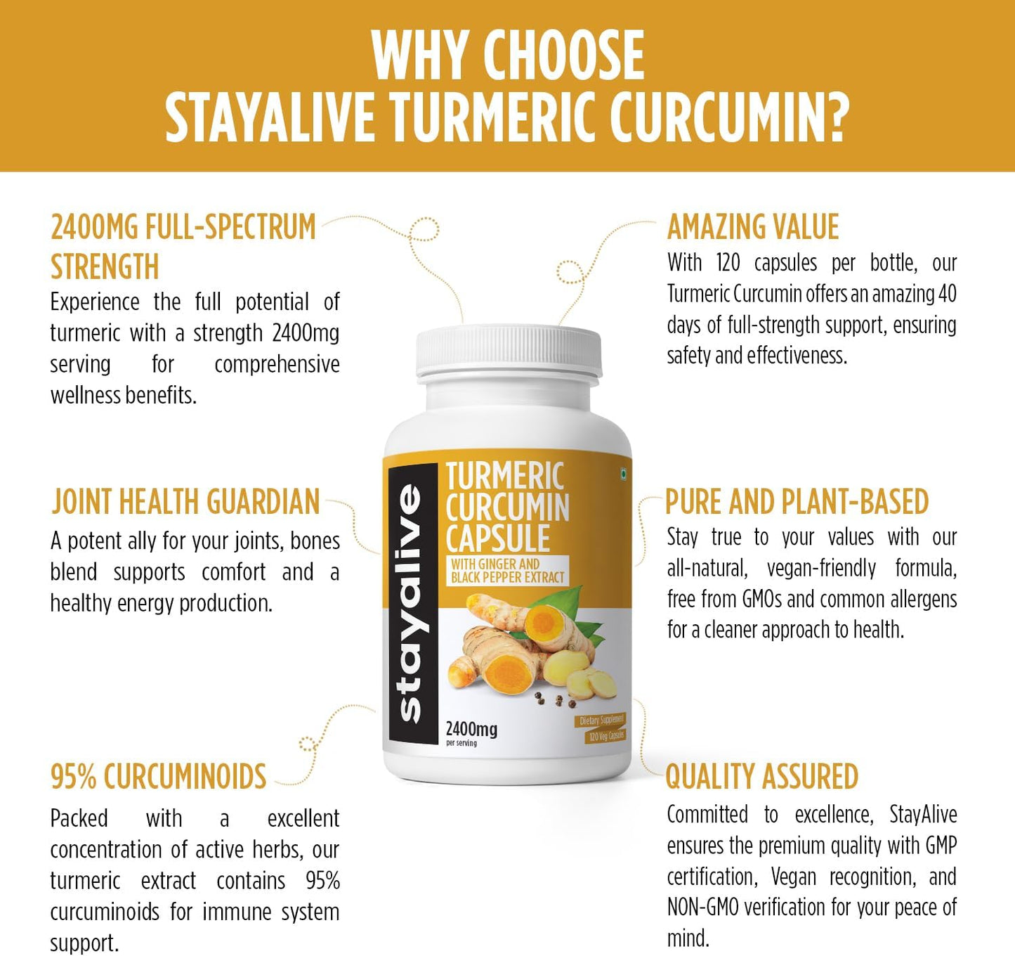 High Potency Turmeric Capsules with Ginger & Black Pepper - 2400mg, 95% Curcuminoids, 120 Capsules for Immunity, Skin & Joint Health - BoostGo Australia