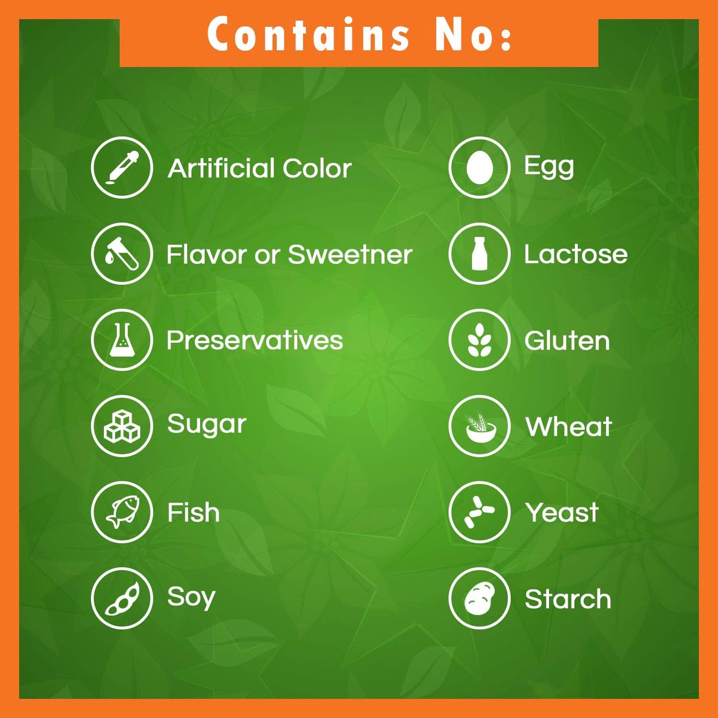 High Potency Vitamin B1 Thiamine Mononitrate 500mg & B6 200mg - Essential B Vitamins for Energy & Metabolism Support