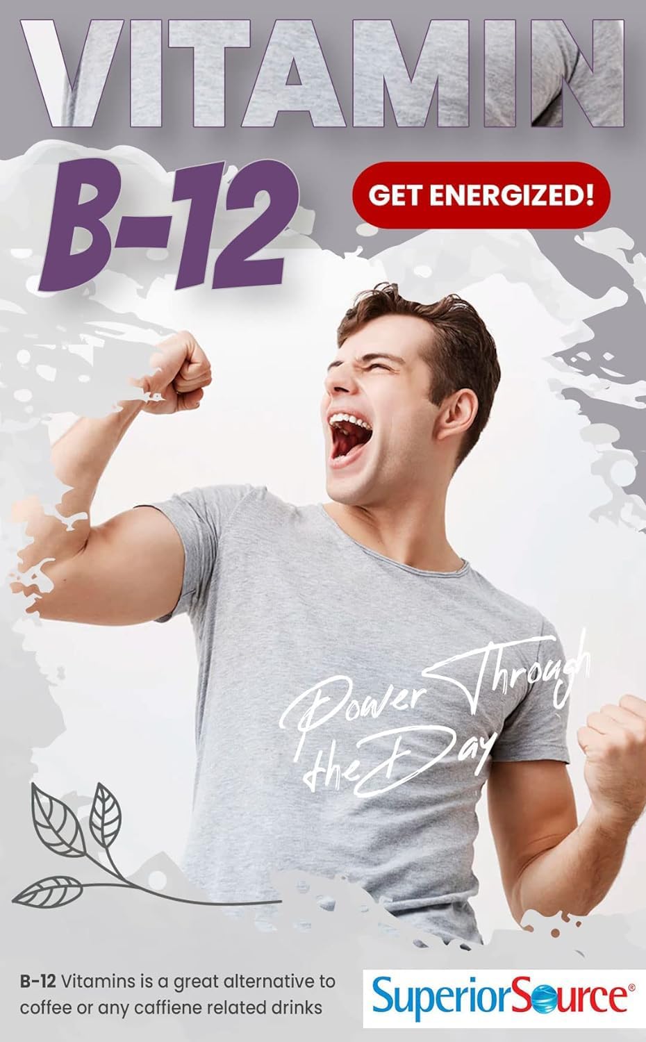 High Potency Vitamin B12 Methylcobalamin Tablets, 2500 mcg - 90 Count, Quick Dissolve for Energy & Nervous System Support, Non-GMO