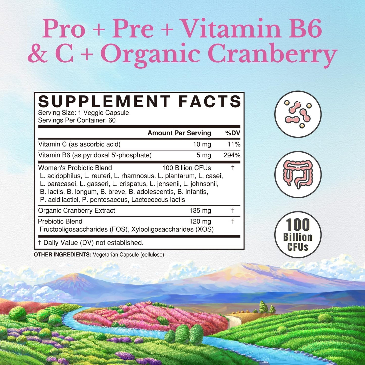 High Potency Women's Probiotic Supplement with Prebiotics, Cranberry, and Vitamins for Vaginal, Urinary, Digestive, and Mood Support - 60 Vegan Capsules