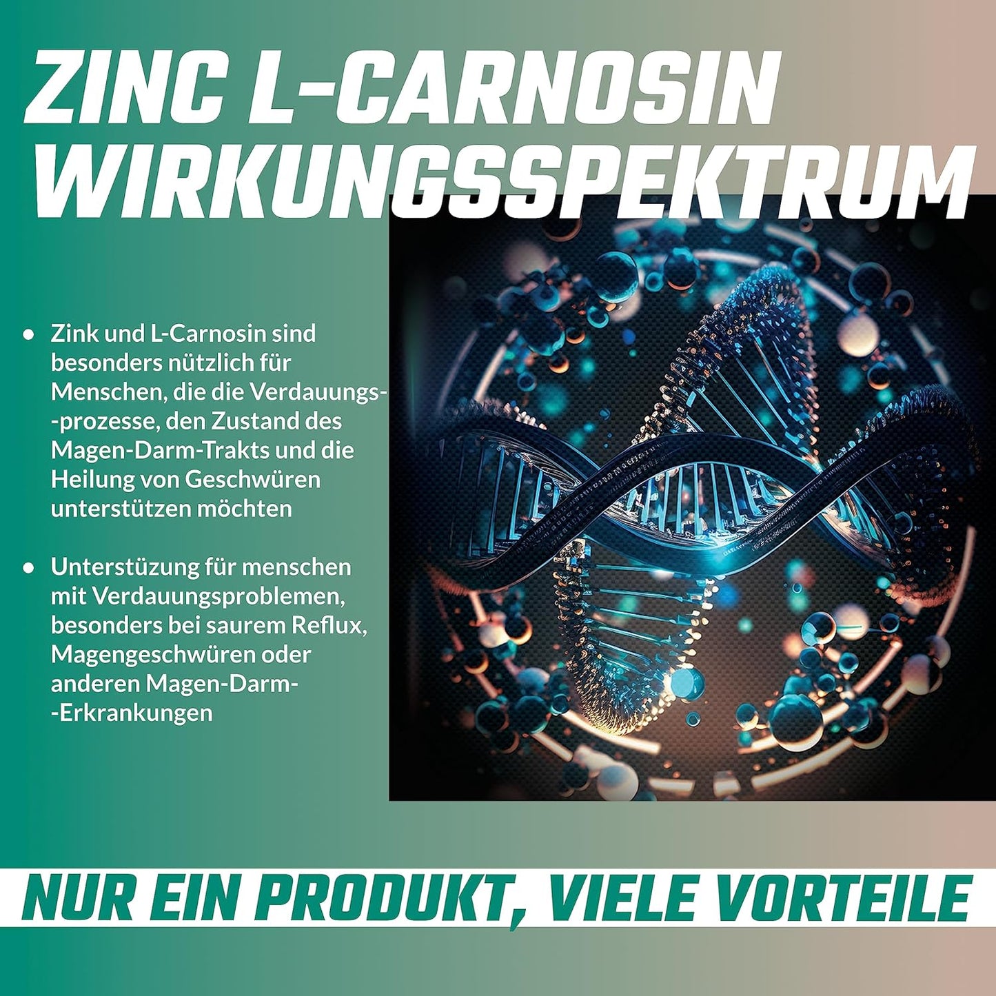 High Potency Zinc L-Carnosine Capsules - 90 Vegan Capsules, 3 Month Supply - Zinc Supplement with Beta-Alanine by Apollo's Hegemony