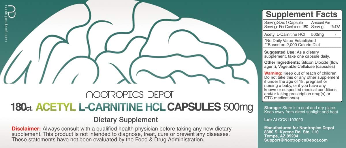 High-Quality Nootropics Depot Acetyl L-Carnitine Capsules - 500mg - 180 Count - Energy Boost - Supports Mitochondrial Function - ALCAR HCL